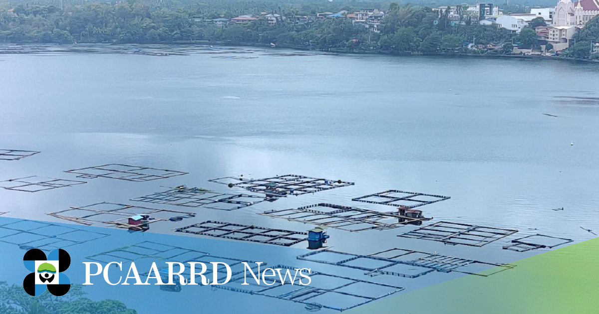 Saribuhay delves into the water quality of San Pablo’s seven lakes